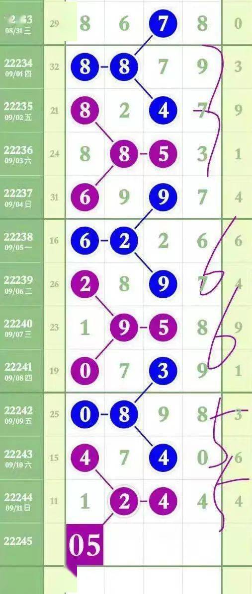 “2024澳门每日开奖好彩汇编46期，企业专用GVC135.37版专业解析”