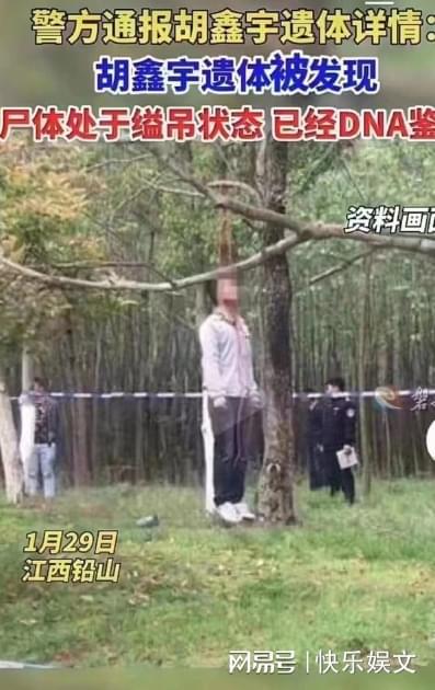 中学生沉迷手游后自缢身亡，探索自然美景之旅能否找回内心平静？