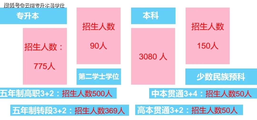 2024澳门天天好彩资讯，资源执行计划_初版OSZ775.37