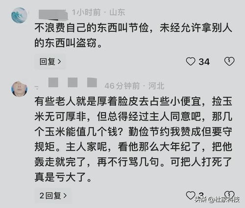 老人拾玉米被打致死伤事件揭秘，当地回应与拾玉米背后的故事
