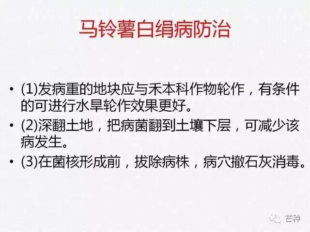 香港正版资料大全一，精选解析_KWR833.65权威推荐