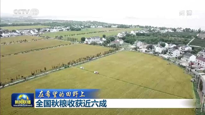 全国秋粮收获进度近六成，多维度深度分析