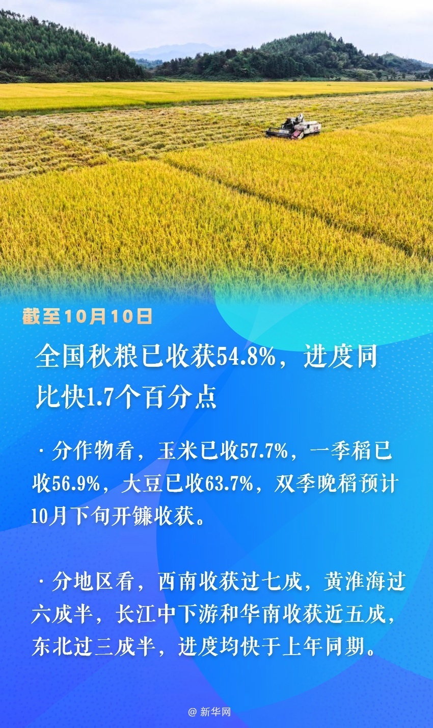 全国秋粮收获进度近六成，丰收季节喜迎丰收季