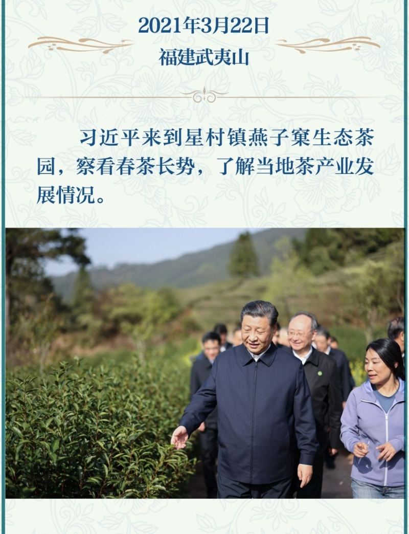小明，传承茶文化，宁静小镇的茶韵之旅