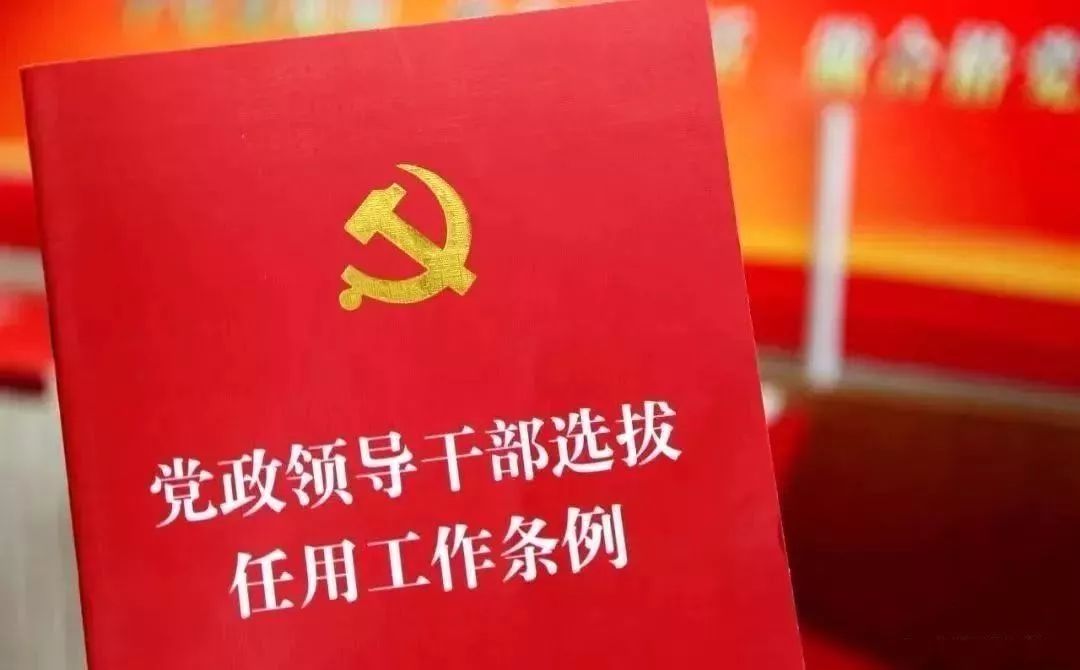 厅级干部跨省份交流任职亮相，小巷深处的独特风味引发关注