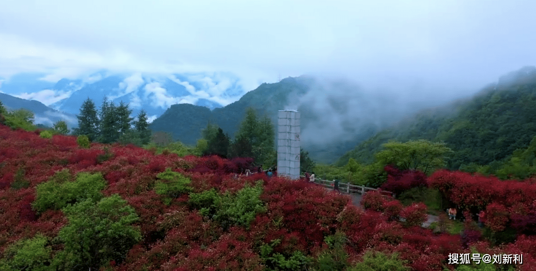 王子新材最新动态