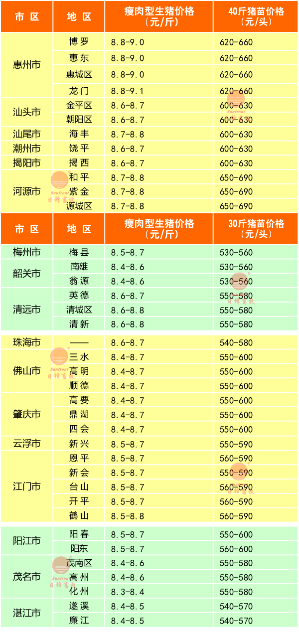 广东最新生猪价格行情揭秘，美食秘境与巷弄深处的价格动态
