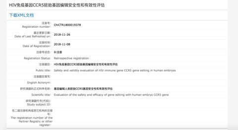OBJ727.32精华版：新澳精准资料第221期安全评估策略免费分享