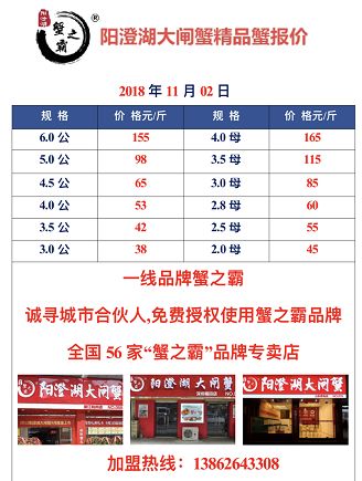 今日螃蟹价格行情详解，如何获取与分析信息及最新行情概览
