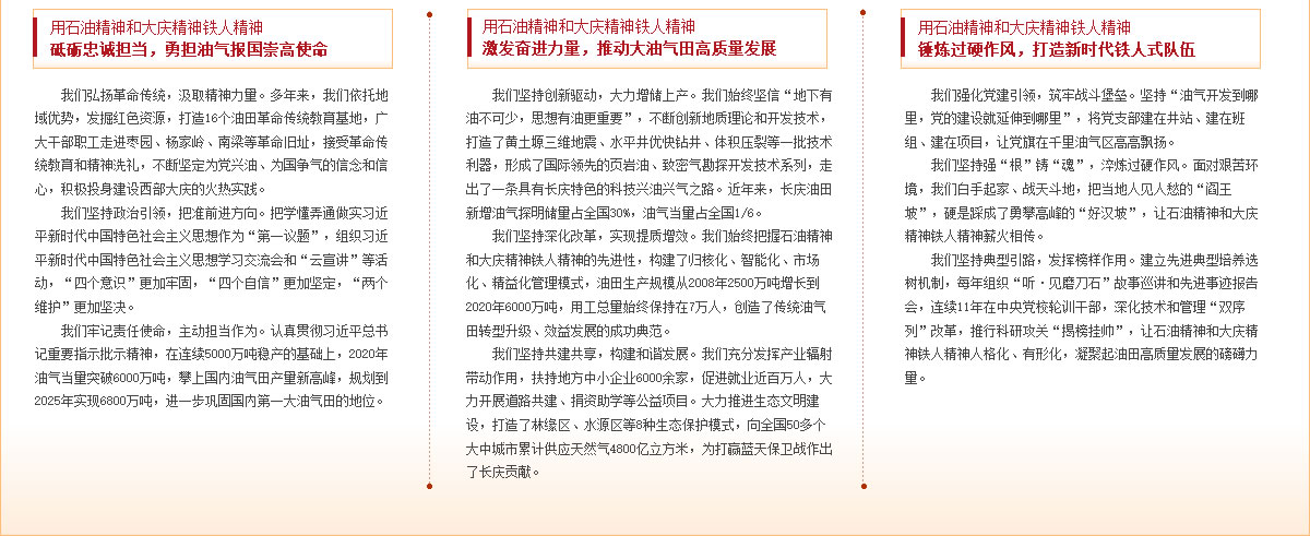 精准服务专家：时代资料解读与实践指南——神话版DNB134.83详解