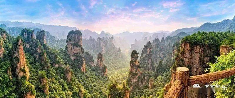 航海王最新集，自然美景鼓舞之旅的探索篇章