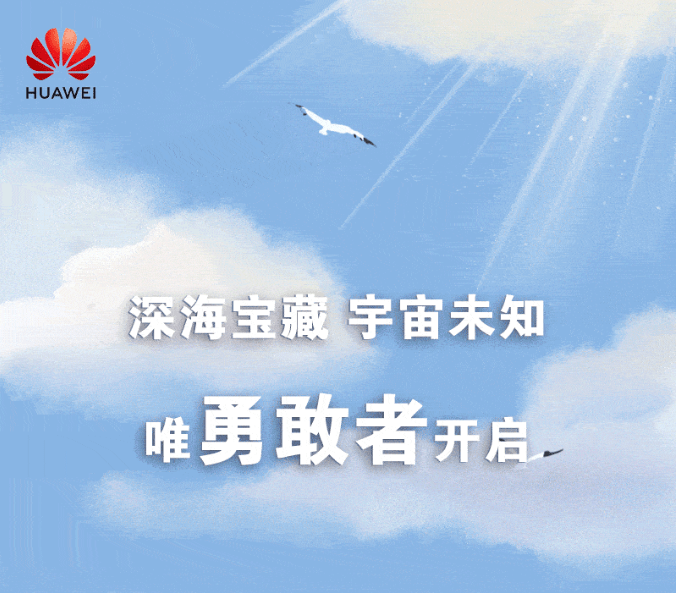 最新招聘信息，开启你的成长探索之旅，职位无限可能！