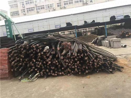 最新废铜价格动态，变化中的机遇与挑战，学习与自信的交响曲