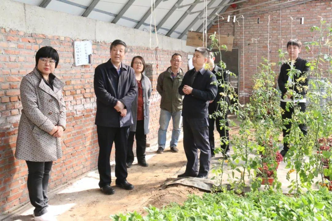 时政新闻最新动态速递📰
