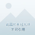 极品飞车最新速度狂欢，挑战极限的热血飙车之旅