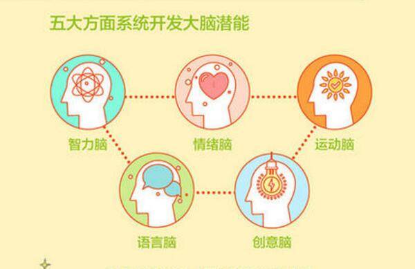 自信翱翔