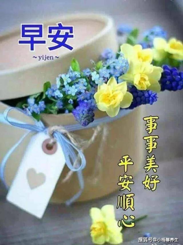 温馨日常，捕捉2017最美瞬间最新照片集萃