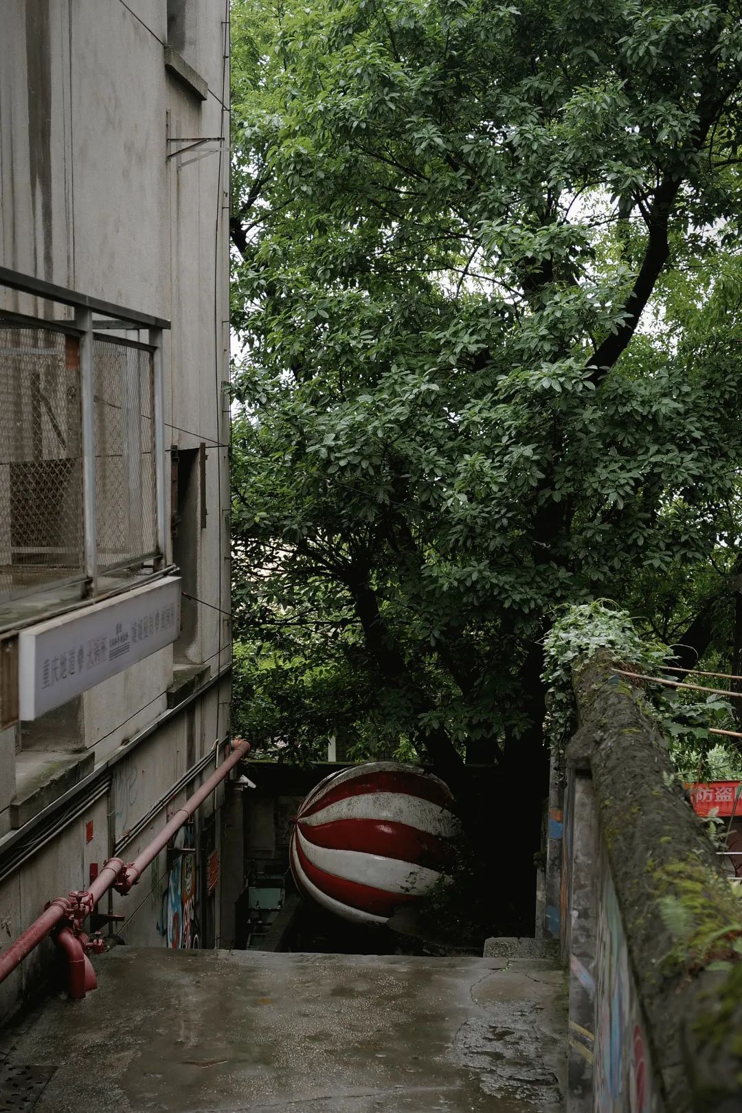 最新特殊符号
