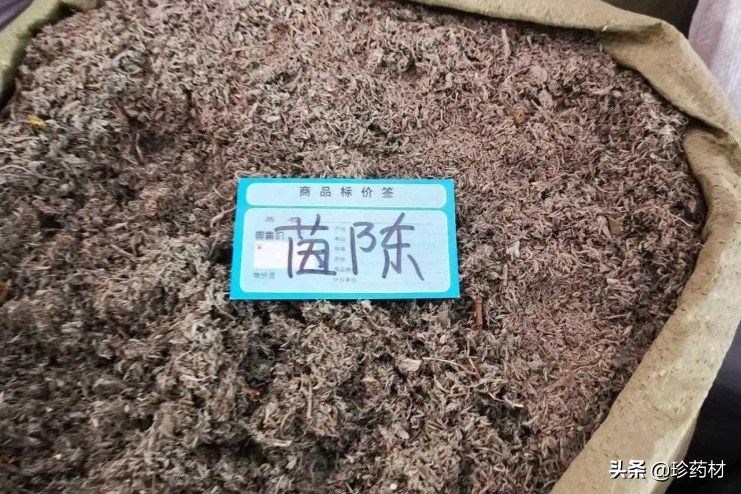 柴胡价格的奇妙物语，最新价格与日常小趣事中的友情与温情