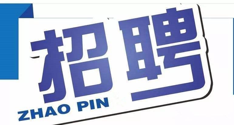 肥城最新招聘信息全面概览