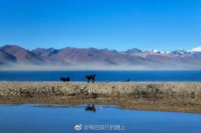 皮棉最新价格，与自然美景相遇，踏上内心平静的旅程