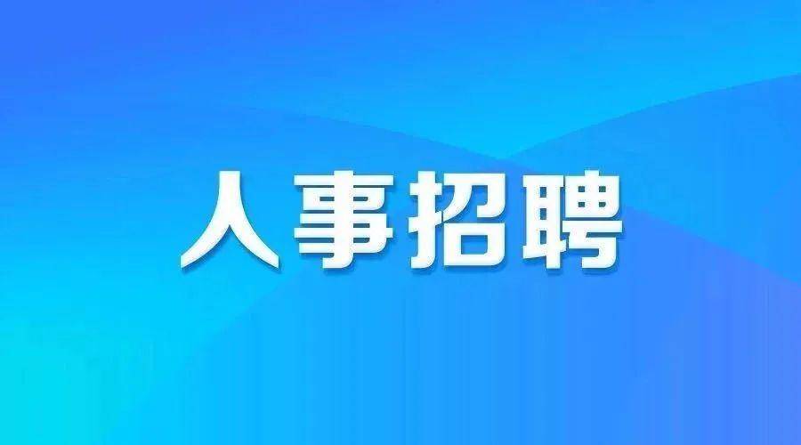 仙桃招聘网最新招聘，城市求职奇遇与友情之花绽放