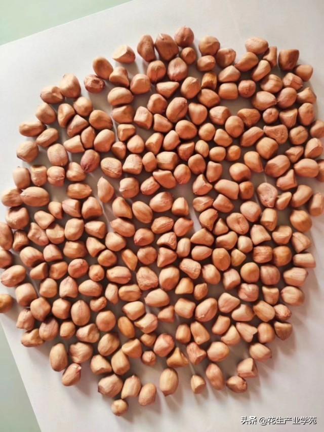 花生价格最新行情走势深度分析