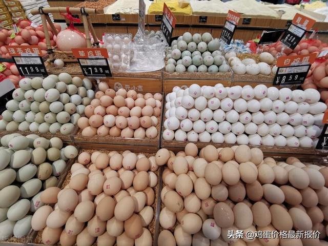 最新鸡蛋价格行情动态更新
