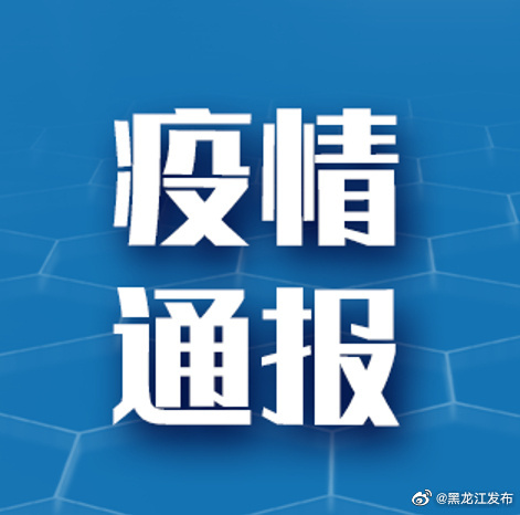 黑龙江最新疫情通报更新，疫情最新动态与通报