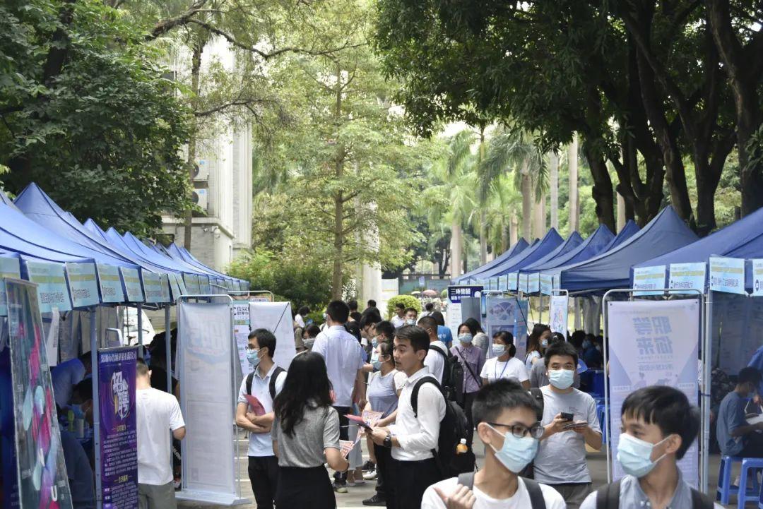 江门最新招聘信息概览与观点论述