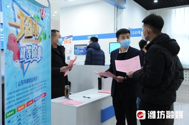 观点论述与职位信息