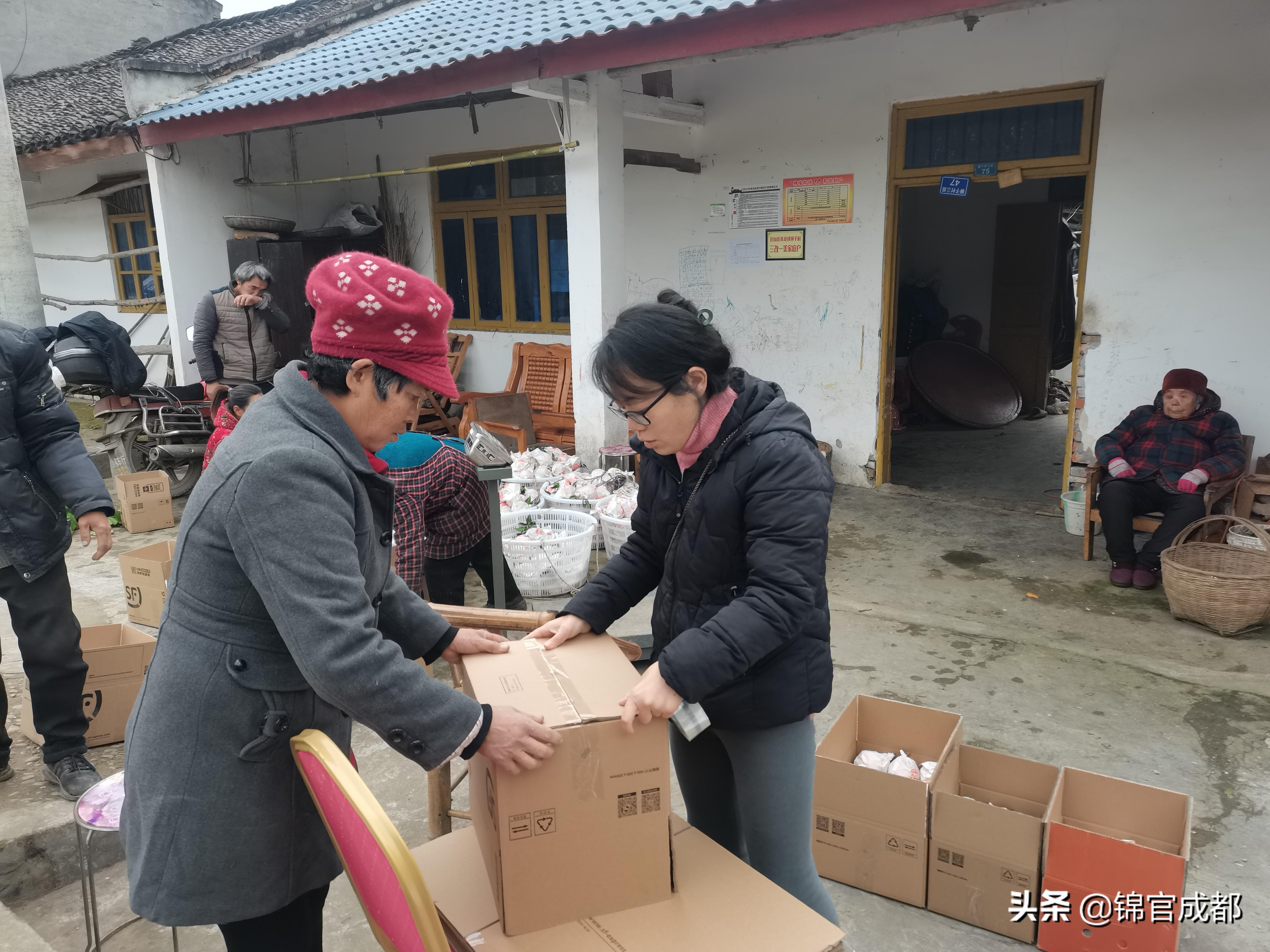 眉山最新科技新闻，引领科技潮流的高科技产品介绍