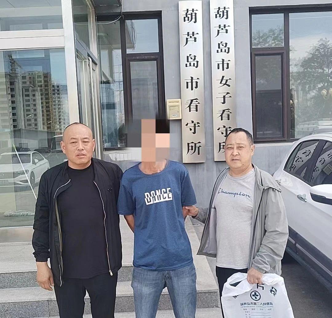 葫芦岛最新案件深度解析与探讨