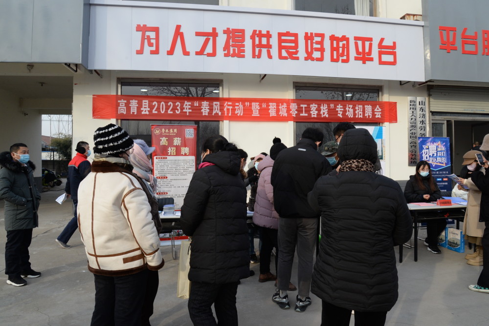 高青最新招聘信息全面概览
