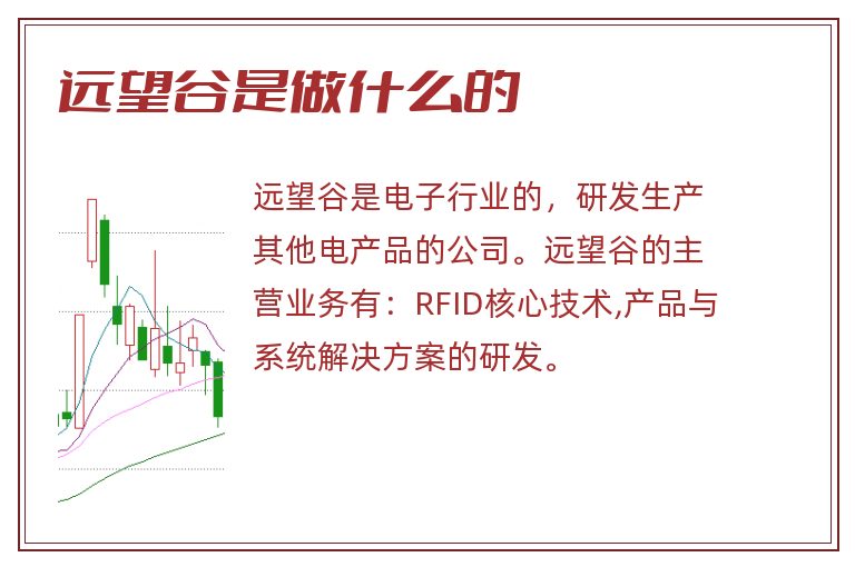 远望谷最新动态深度解析与观点阐述