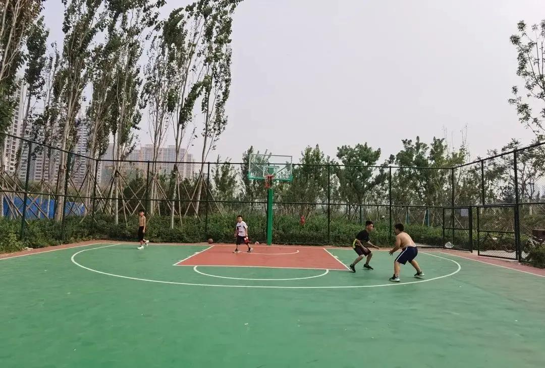 美好置业，小巷中的隐藏宝藏引发探索热潮的最新消息