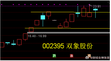 双象股份最新动态与小巷深处的独特风味探索揭秘