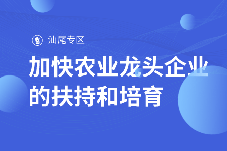 深度分析与解读