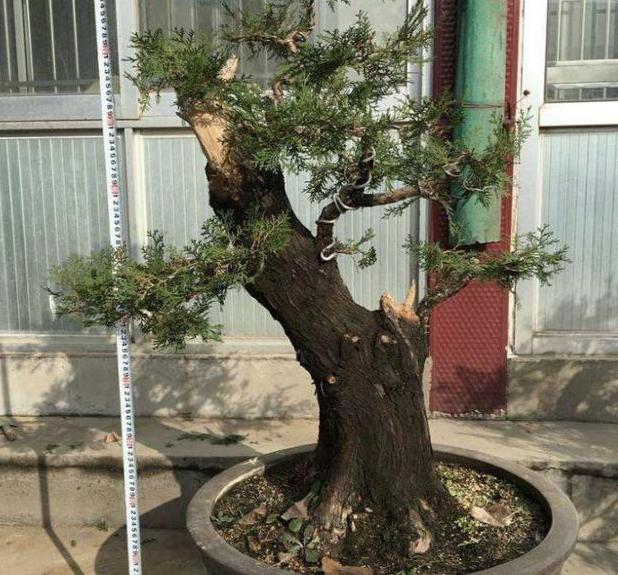 快速完成任务与学习技能秘籍揭秘