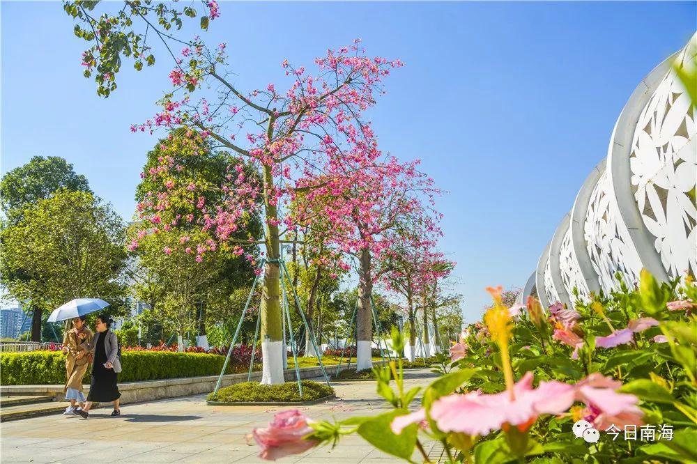 南海建设最新进展,南海建设最新进展，一场探索自然美景的轻松之旅