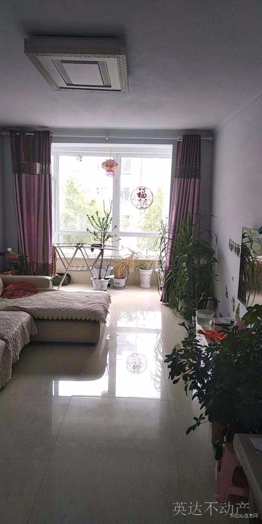 邱县房屋出售最新消息,​邱县房屋出售最新消息🏠✨