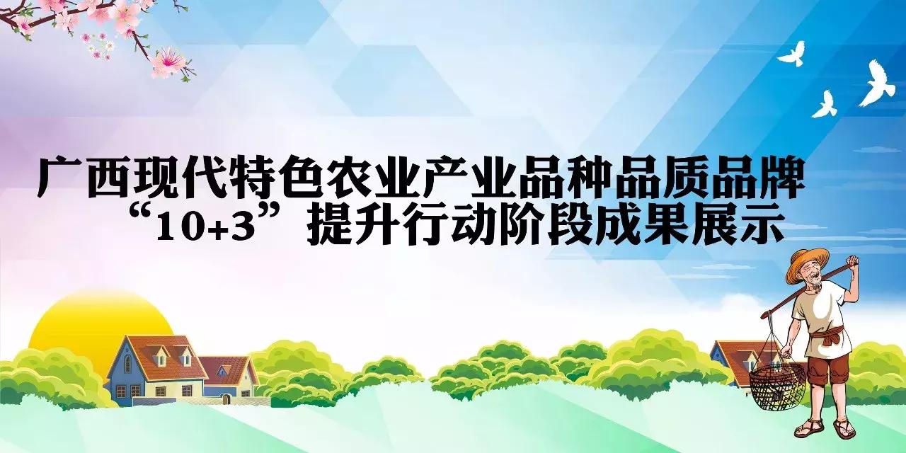 最新茶叶营销方案，塑造独特品牌之路，打造茶叶市场新标杆