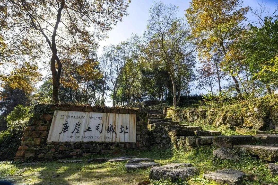 广忠黔铁路最新消息,广忠黔铁路最新消息，探寻小巷中的铁路风情与隐藏瑰宝