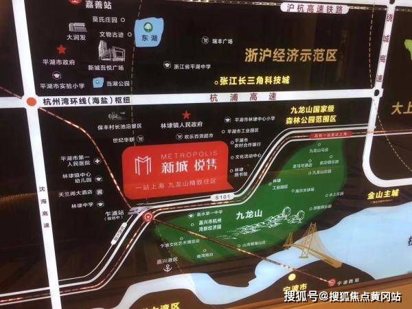 深度分析与观察