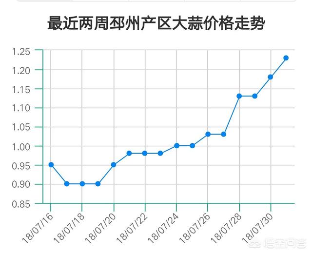 行情与价格波动探究