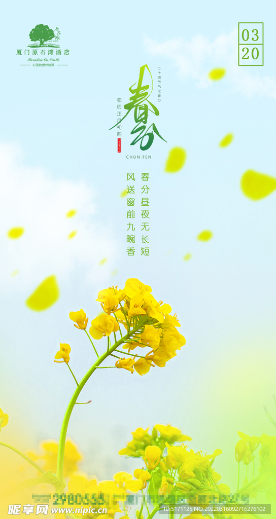 春分图片最新大全，科技与生活融合的前瞻体验