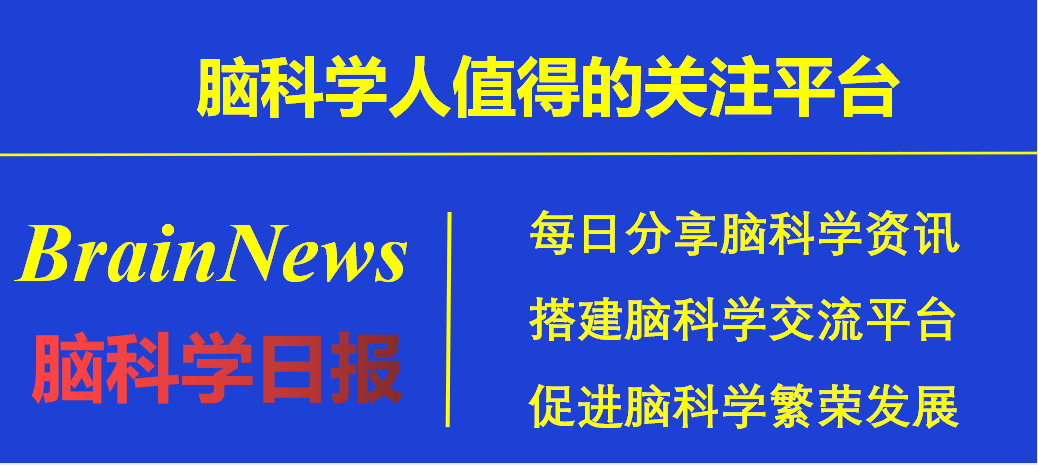 职业发展/职业机会