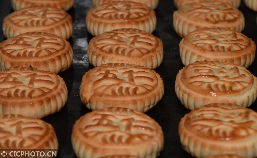襄阳食品厂最新招聘启事，时代呼唤与行业繁荣的交汇点