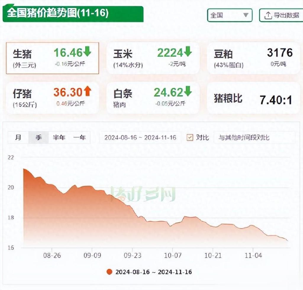 最新猪价交流,最新猪价交流详细步骤指南