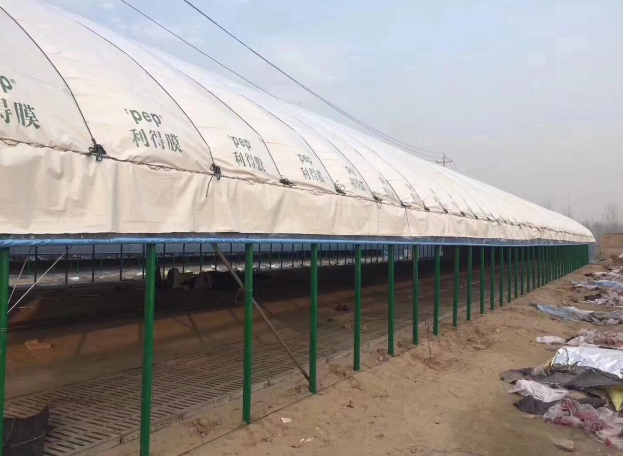 养猪大棚建筑